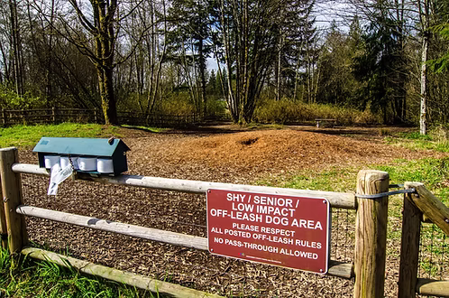 Dog parks near Mill Creek WA